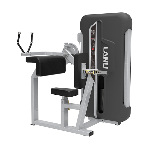 Seated Triceps flat