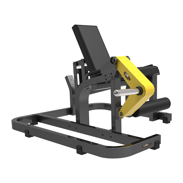 Leg Extension