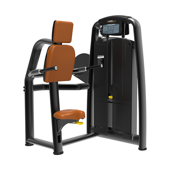 Seated Dip