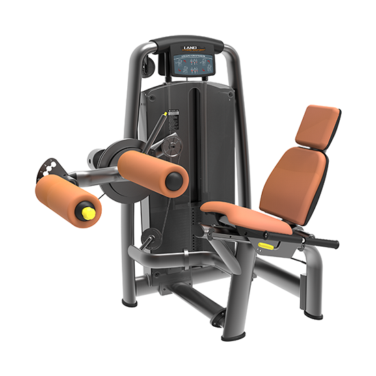Seated Leg Curl/Extension
