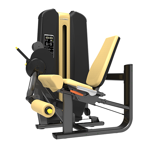 Leg Extension